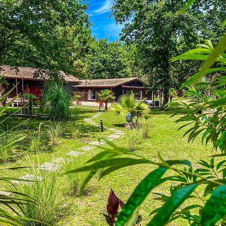 House De La Canopee, Swimming Pool, Lake, Forest, Large Garden And Wifi Hourtin Exterior photo