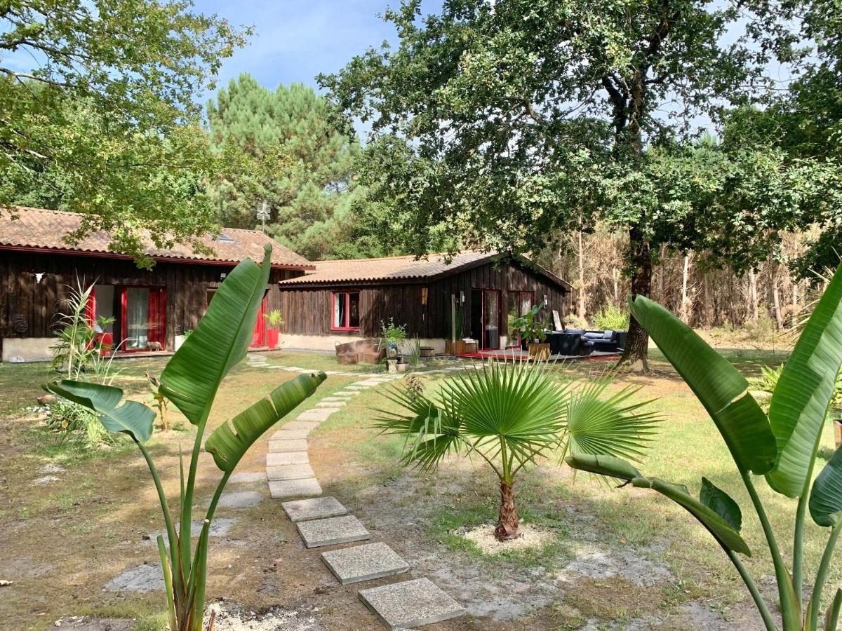 House De La Canopee, Swimming Pool, Lake, Forest, Large Garden And Wifi Hourtin Exterior photo