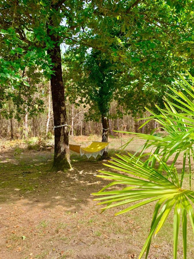 House De La Canopee, Swimming Pool, Lake, Forest, Large Garden And Wifi Hourtin Exterior photo