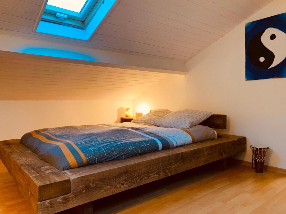 House De La Canopee, Swimming Pool, Lake, Forest, Large Garden And Wifi Hourtin Exterior photo