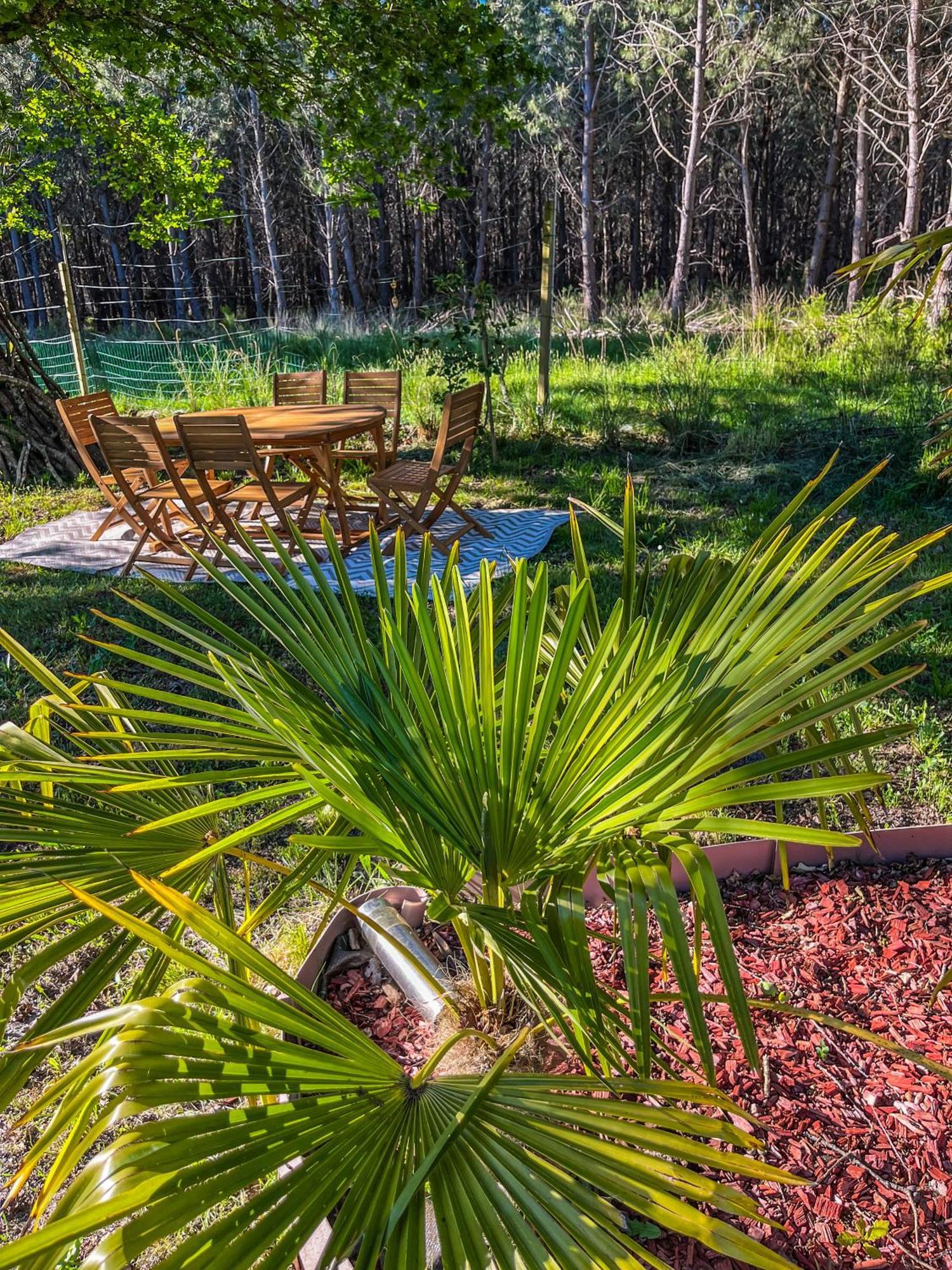 House De La Canopee, Swimming Pool, Lake, Forest, Large Garden And Wifi Hourtin Exterior photo